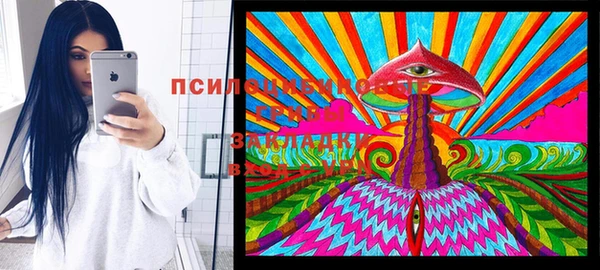MESCALINE Аркадак