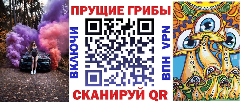 mega сайт Кологрив Галлюциногенные грибы ЛСД